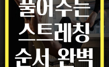 뭉친 근육 풀어주는 스트레칭 순서 완벽 가이드