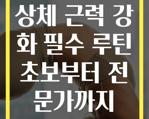 상체 근력 강화 필수 루틴 초보부터 전문가까지