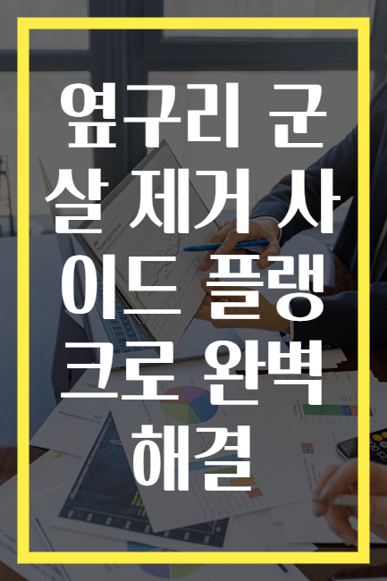 옆구리 군살 제거 사이드 플랭크로 완벽 해결