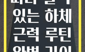 초보자도 따라 할 수 있는 하체 근력 루틴 완벽 가이드