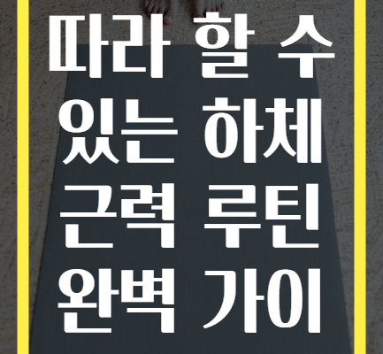 초보자도 따라 할 수 있는 하체 근력 루틴 완벽 가이드