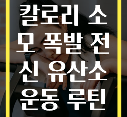 칼로리 소모 폭발 전신 유산소 운동 루틴