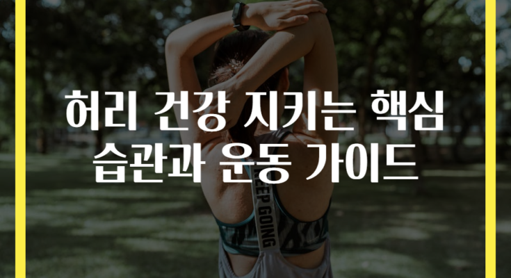 허리 건강 지키는 핵심 습관과 운동 가이드