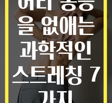 허리 통증을 없애는 과학적인 스트레칭 7가지