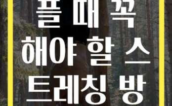 허리가 아플 때 꼭 해야 할 스트레칭 방법