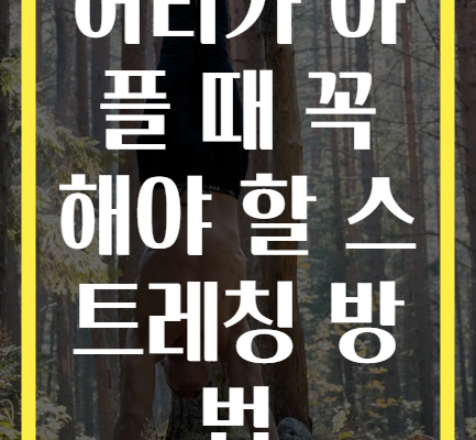 허리가 아플 때 꼭 해야 할 스트레칭 방법