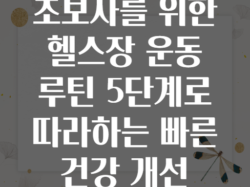 초보자를 위한 헬스장 운동 루틴 5단계로 따라하는 빠른 건강 개선